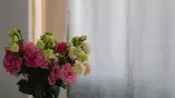 Отель «Марина», г. Анапа